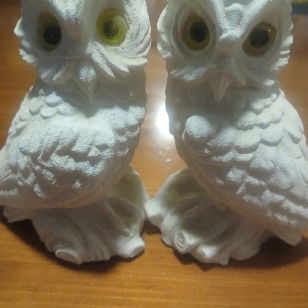 Charming White Owl Sculptures for Home Decor